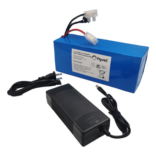 Kit batería Panasonic 36V 12Ah con cargador en vista de frente y etiqueta impresa.