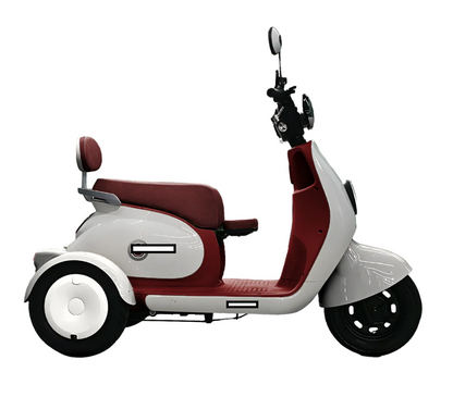 Batería 48V 20Ah para Triciclo Eléctrico