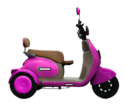 Batería 48V 20Ah para Triciclo Eléctrico