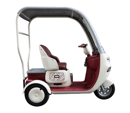 Batería 72V 20Ah para Triciclo Eléctrico