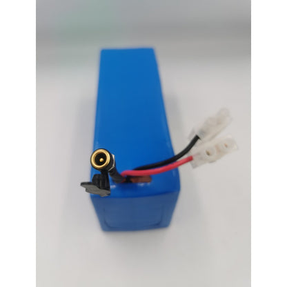 Batería 36v 10ah Eve Custom