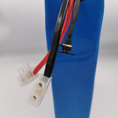 Kit Batería 48v 20ah Eve + Cargador 2a